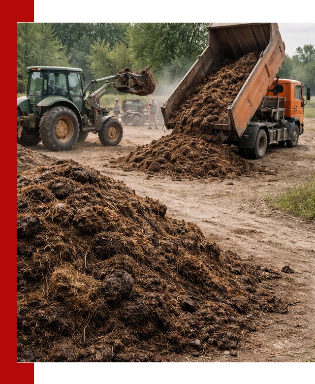 Доставка навоза самосвалами в Анжеро-Судженске для сельхозпотребностей