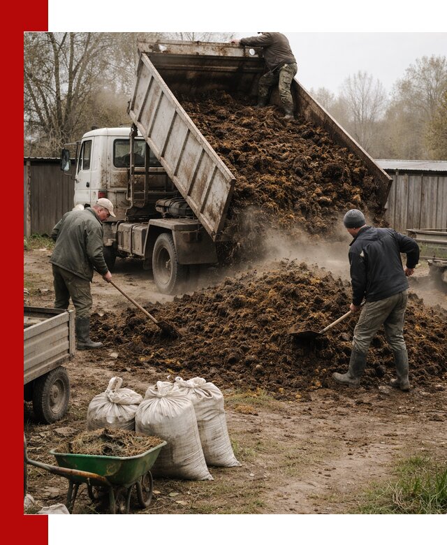 Доставка коровьего навоза самосвалом в Анжеро-Судженске
